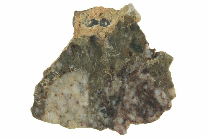 Lunar Meteorite ( g) Slice - Laayoune #360209